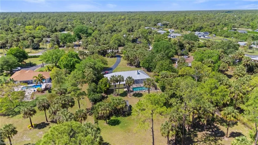Bird's eye view featuring a forest view
