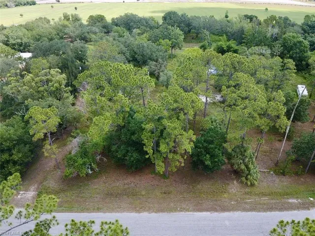 Bird's eye view featuring a rural view
