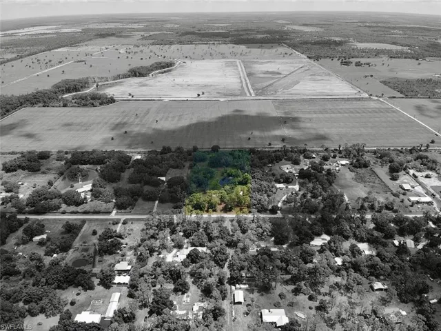 View of bird's eye view