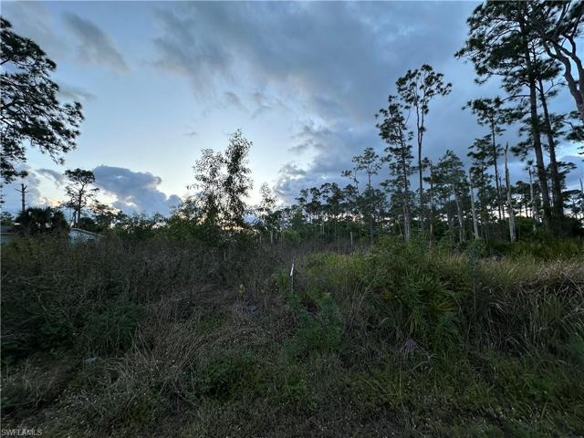 111  Truman  AVE, LEHIGH ACRES, FL 33936