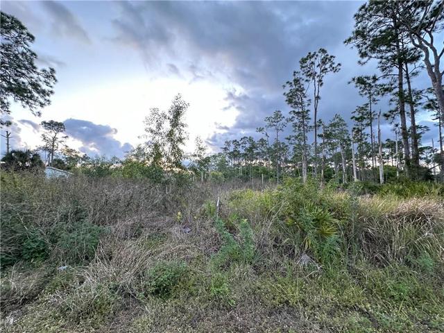111  Truman  AVE, LEHIGH ACRES, FL 33936