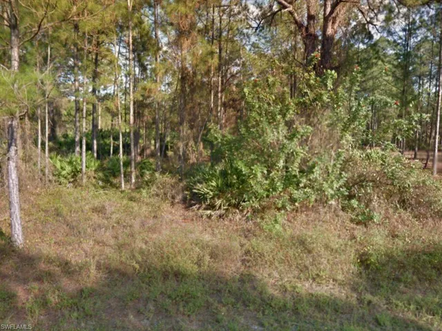 View of woods