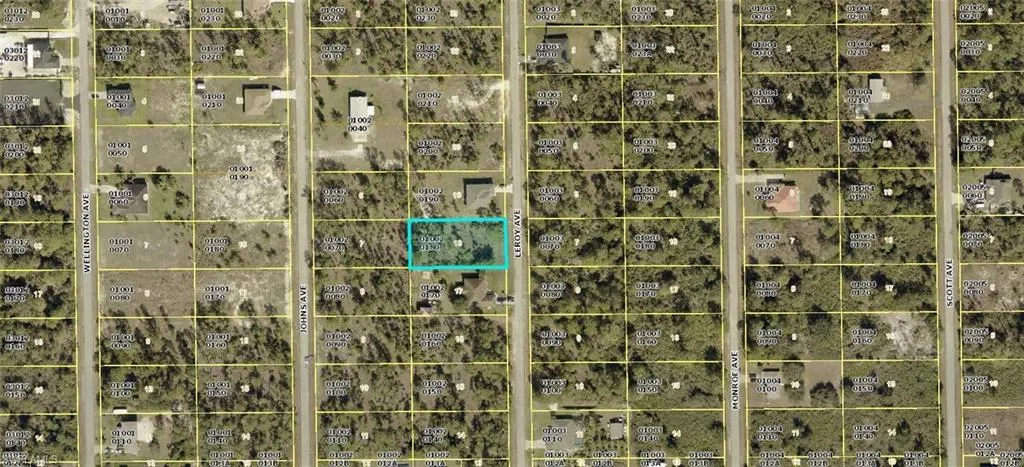 811 Leroy Ave, Lehigh Acres, Florida 33972
