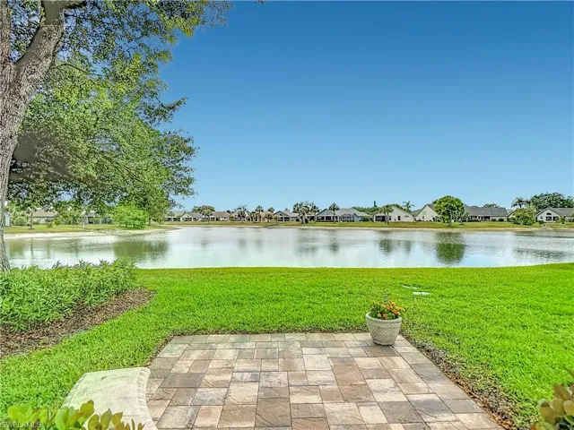 Pond View from Patie