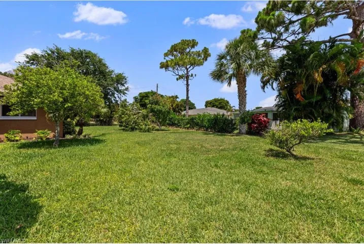 View of grassy yard