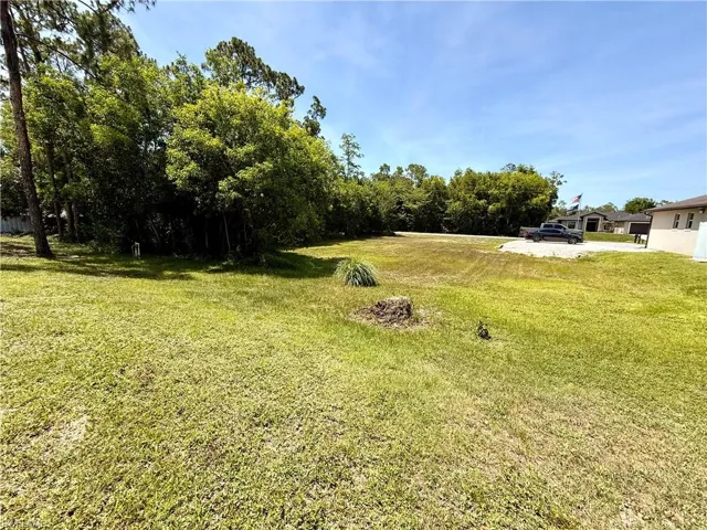 Expansive grass lot featuring mature tree coverage along the rear property line, a cleared building area, and a gravel driveway