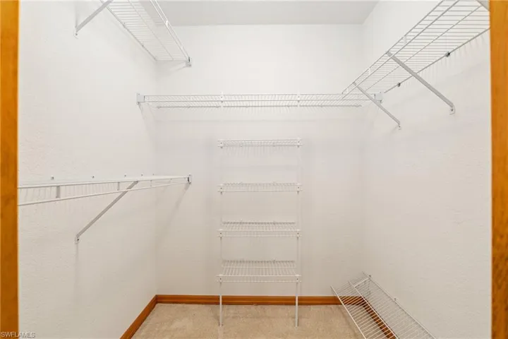 Spacious closet featuring carpet flooring