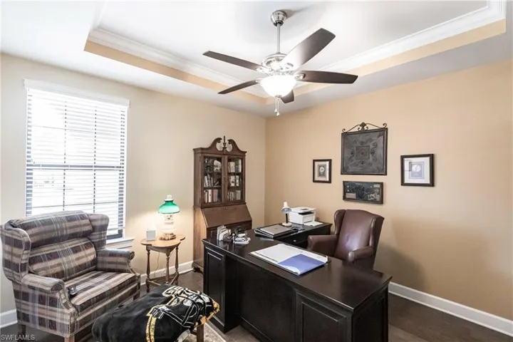 Home office with ceiling fan, a tray ceiling, dark hardwood / wood-style flooring, and a wealth of natural light