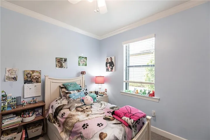 Bedroom with ceiling fan, crown molding, and carpet flooring
