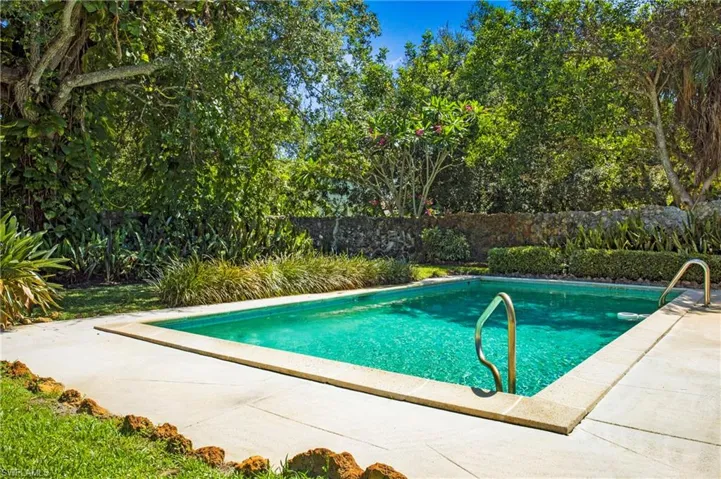 14x28 pool and deck surrounded by tropical flora