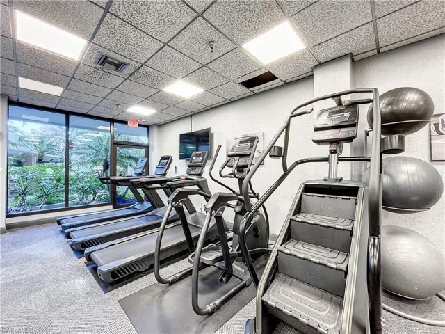 Gym featuring a drop ceiling and a wall of windows