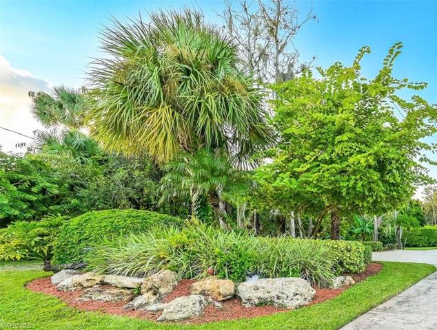 Garden in front of home