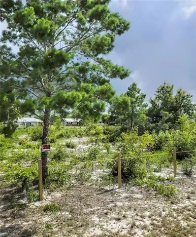 126 Loquat Rd Nw, Lake Placid, Florida 33852