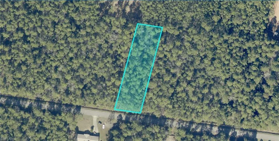 Aerial Property Map. An overhead depiction of the property's boundaries within a wooded area