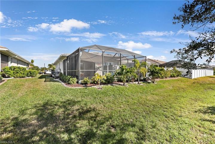 Lush green grass in the backyard