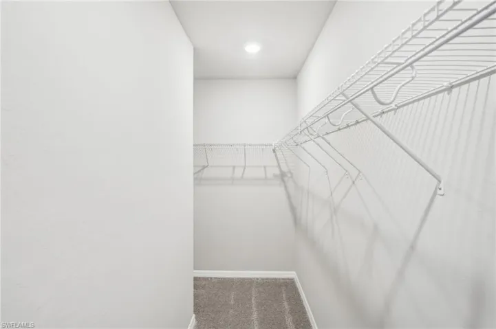 Spacious closet with carpet floors