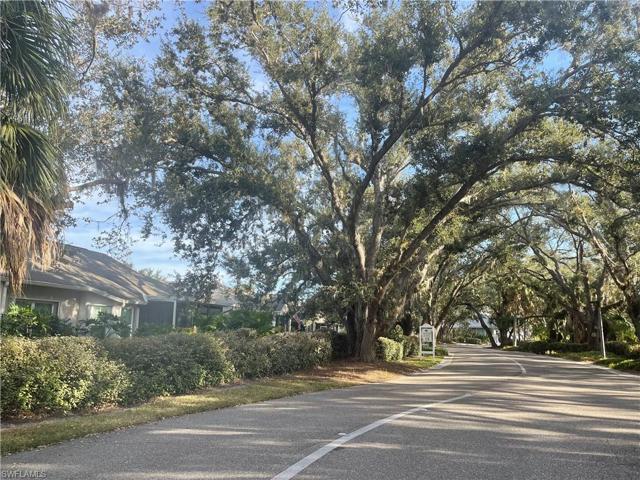 Large oaks throughout the community