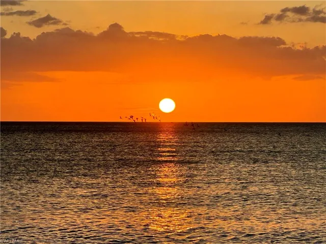 Walk or bike ride to the beach for sunset.