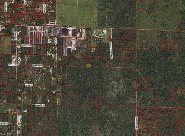 , Naples, FL 34117