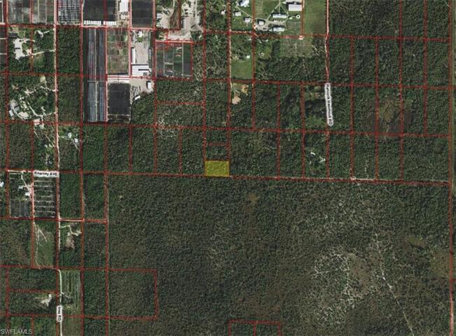 , Naples, FL 34117