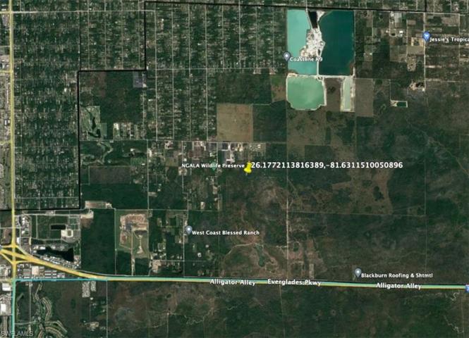 , Naples, FL 34117