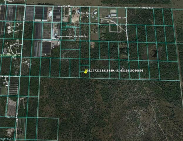 , Naples, FL 34117