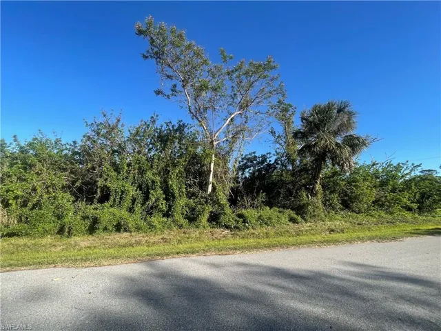View of road