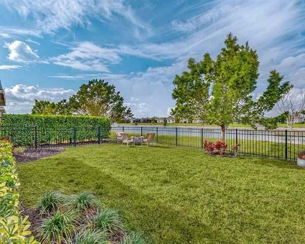 View of fenced backyard