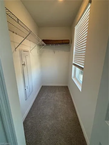 Walk in closet featuring dark colored carpet