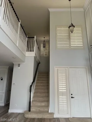 Stairway with crown molding, wood finished floors, and a high ceiling