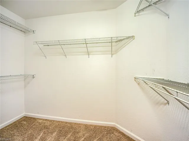 Spacious closet with carpet flooring
