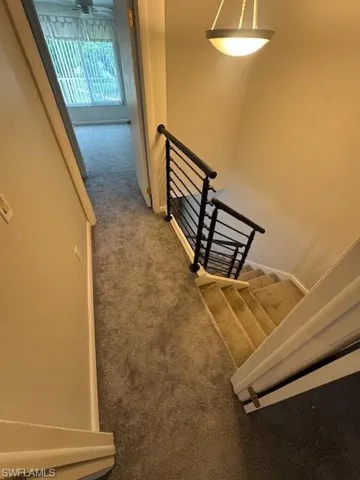 Staircase with carpet