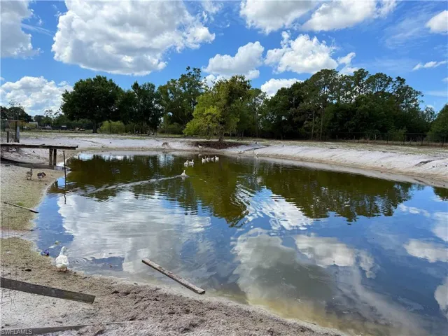 Property pond with a visible water surface and surrounding sandy banks