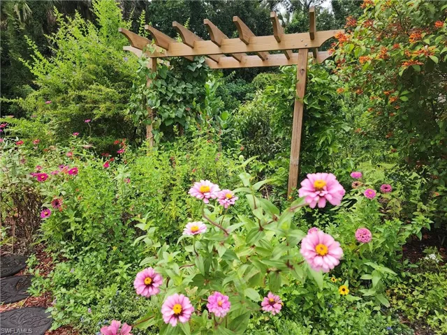 Pine Ridge Butterfly Garden