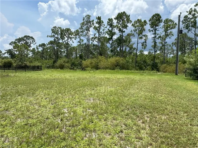 Middle of lot to back, ditch and tress, bushes behind
