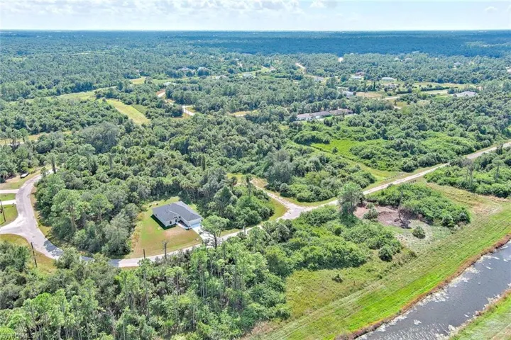 Bird's eye view of a forest