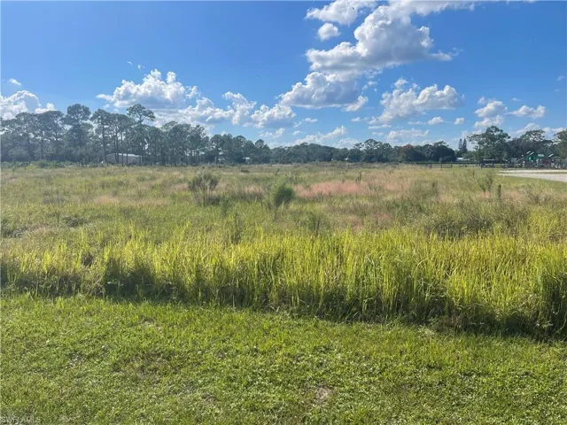 View of local wilderness featuring rural landscape