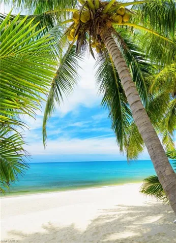 There's shade on the beach if you look hard enough!