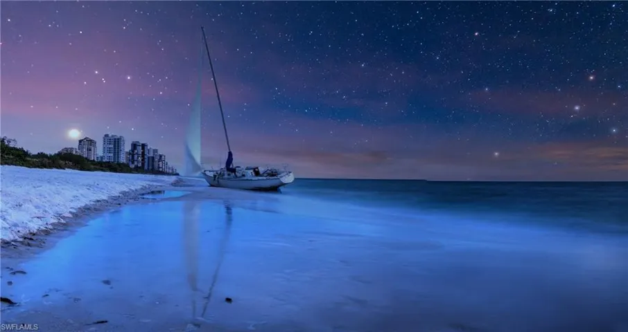 The beach at night is heavenly!