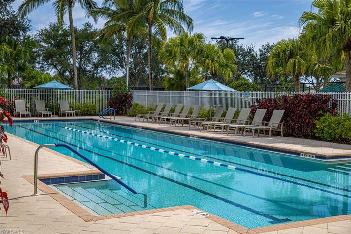 Lap Pool