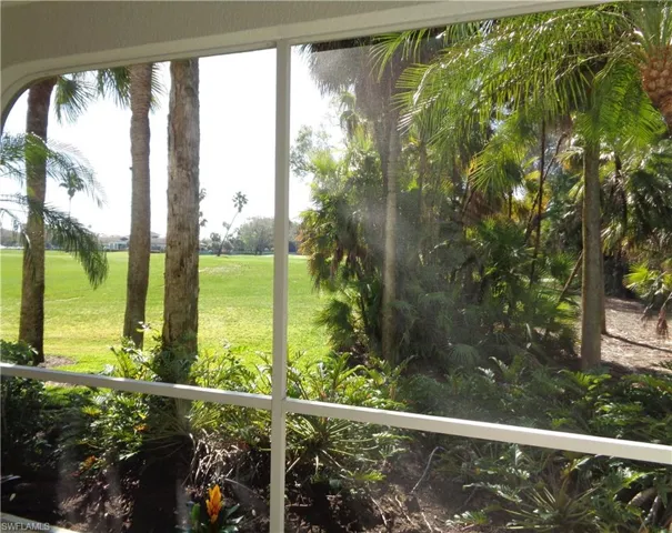 View of grassy yard