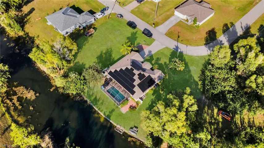 Dark Green Lawn