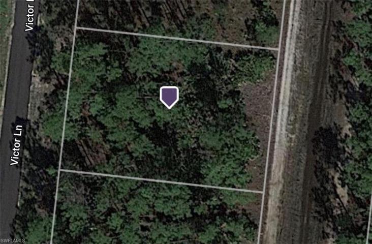 Wooded Lot