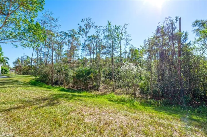 Preserve View