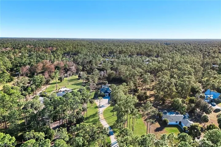 Drone / aerial view of a forest
