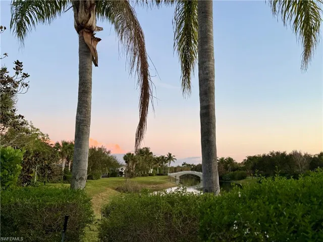 Southern view from backyard