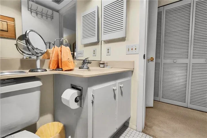 Bathroom with a closet, vanity, and light colored carpet