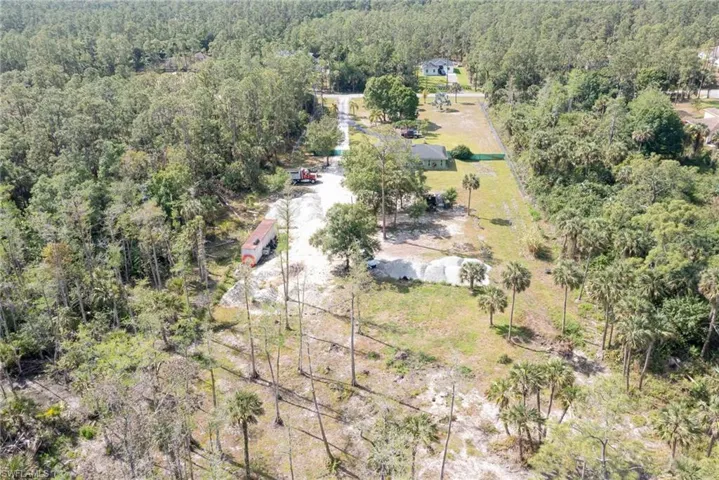 Bird's eye view of a forest
