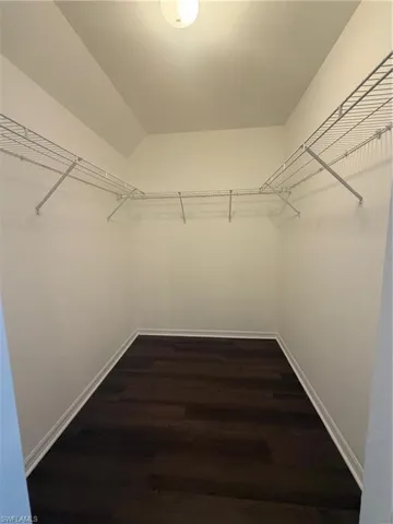Walk in closet with dark wood-type flooring