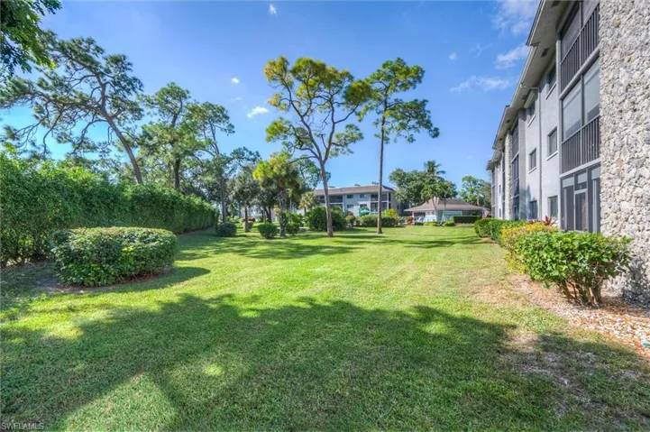 View of grassy yard